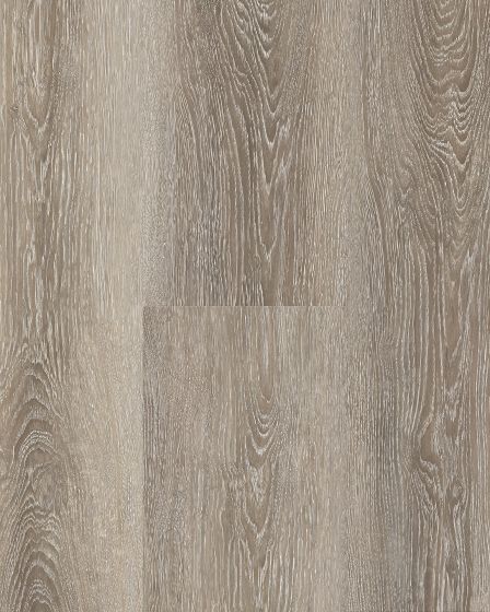 Cali Windansea High Tide Bird Rock Ridge Vinyl