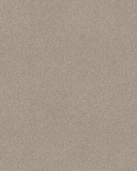 Bountiful Beauty Textured Nylon 43oz Carpet