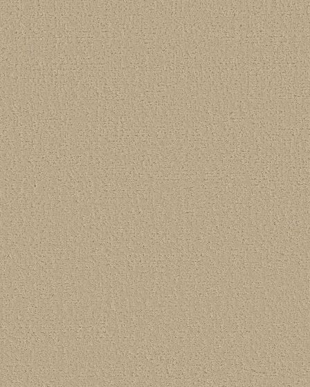 Canvas Comfort Textured Nylon 43oz Carpet