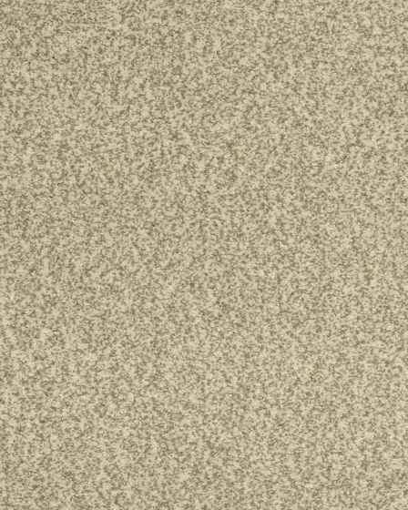 Cherished Tradition Bare Necessities Kashmere Carpet