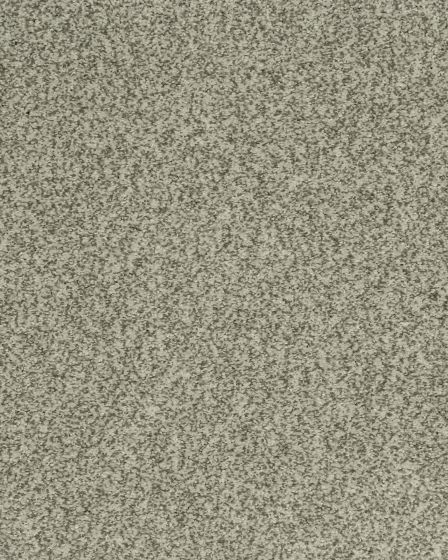 Cherished Tradition Raven Kashmere Carpet