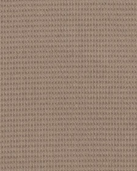 Chic Elevation Beige Bisque Carpet