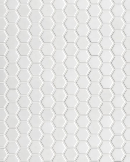 Circuit White 1x1 Hexagon Matte Tile