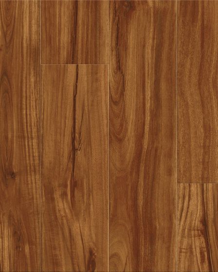 Cali Windansea High Tide Classic Acacia Vinyl