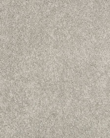 Claws and Effect I 43oz Pet Friendly Carpet