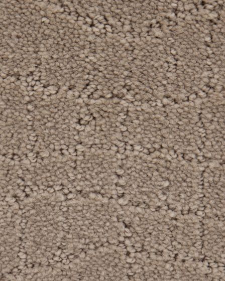 Curve Appeal Canvas Carpet