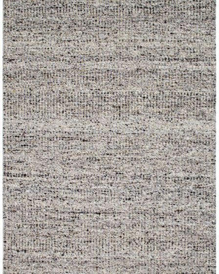 Darcy 2501 Greige Area Rug