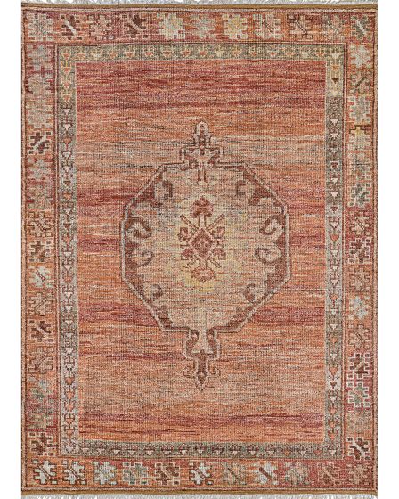 Desi Udaipur Rust 6'x9' Area Rug