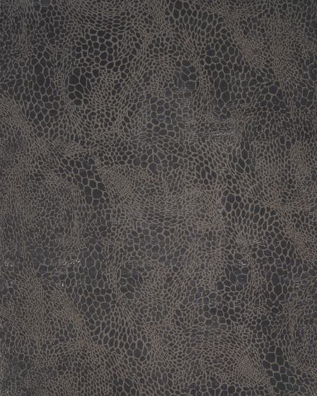 Desire DSR08 Charcoal Silver Area Rug