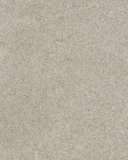 Diffurent Choice III 58oz Pet Friendly Carpet