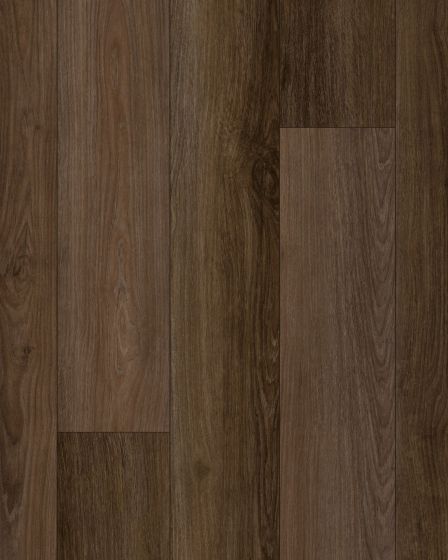 Discovery Ridge SolidTech Essentials Cup O Java Vinyl