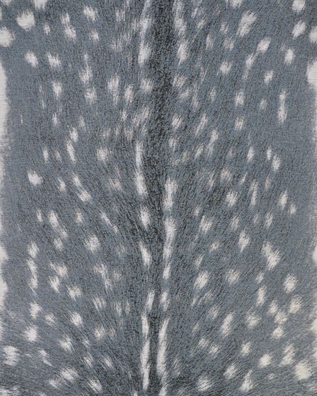 Dolce Hyena Denim-Silver Area Rug