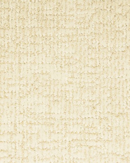 Turner Pond Patterned Nylon Carpet