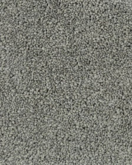 Dove Creek Metallic Magic Carpet