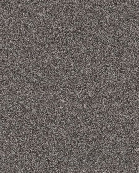 Expertise Sentimental 48.7oz Textured Carpet