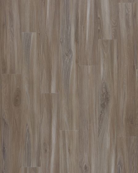 Explorers Cove SolidTech Select Dolphin Luxury Vinyl