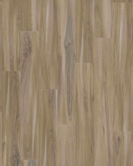 Explorers Cove SolidTech Select Sandy Valley Luxury Vinyl