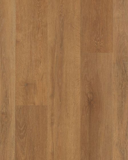 Explorers Cove SolidTech Select Stormy Sands Luxury Vinyl