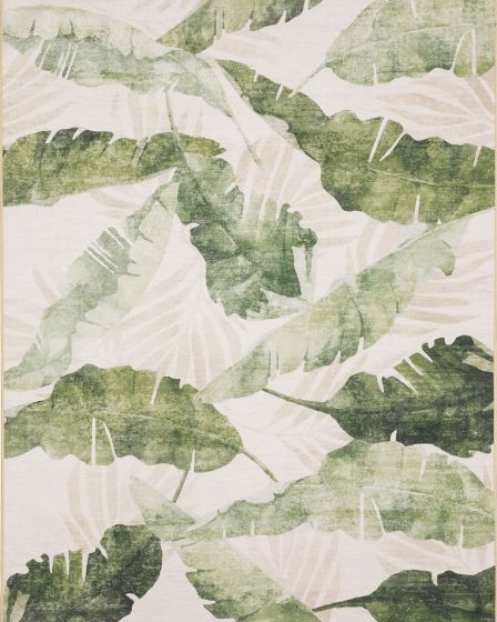 Fiji fij02 Beige/Green