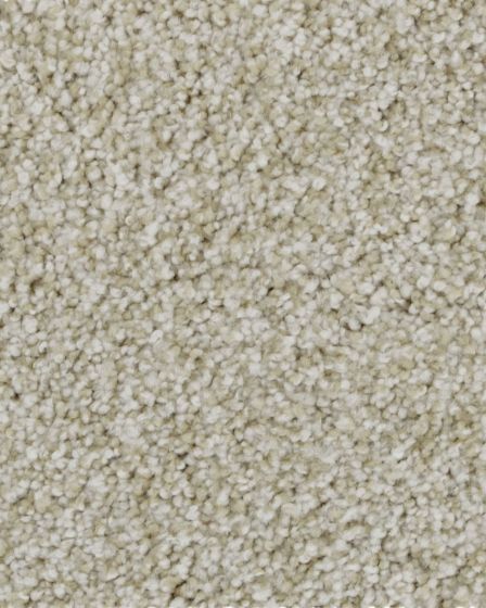 Celestia Nylon 70oz Textured Carpet