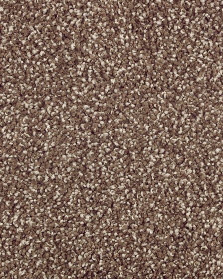 Subtle Tones Textured SmartStrand 57oz Carpet