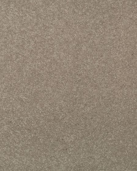Stylish Grace Textured 55oz SmartStrand Carpet