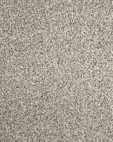Detailed Statement Textured SmartStrand Carpet
