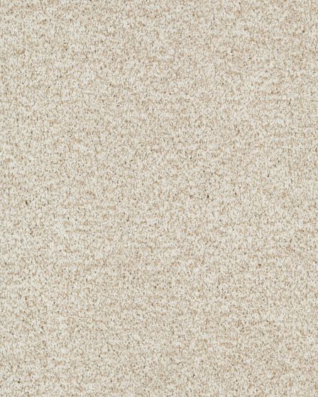 Stylish Connection Textured 45oz Nylon Carpet