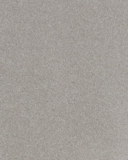 Impressive Shades Textured 50oz Carpet