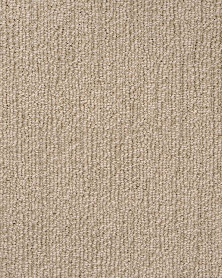 True North Patterned Nylon Blend Carpet