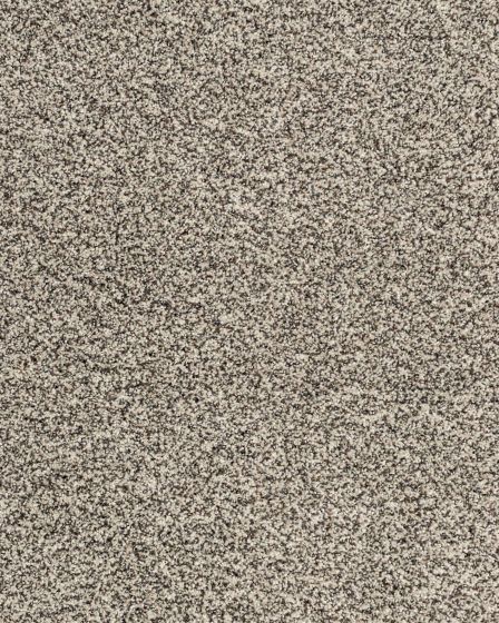 Candor SmartStrand Textured 43oz Carpet