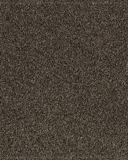 Gentle Quality Kashmere Nylon Carpet