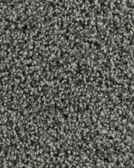 Graceful Intrigue Textured 50oz Carpet