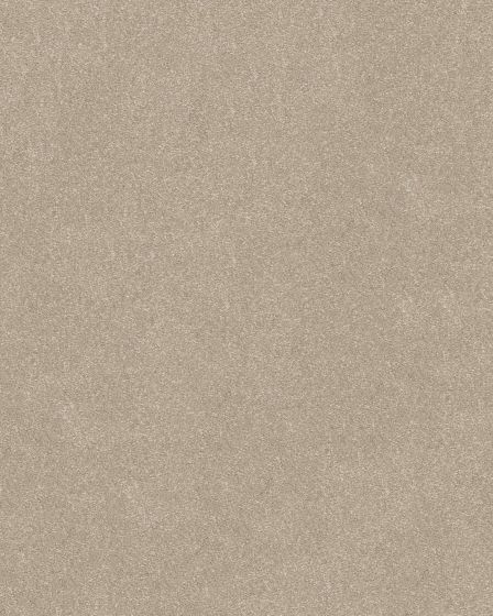 Hard At Play II Natural Carpet