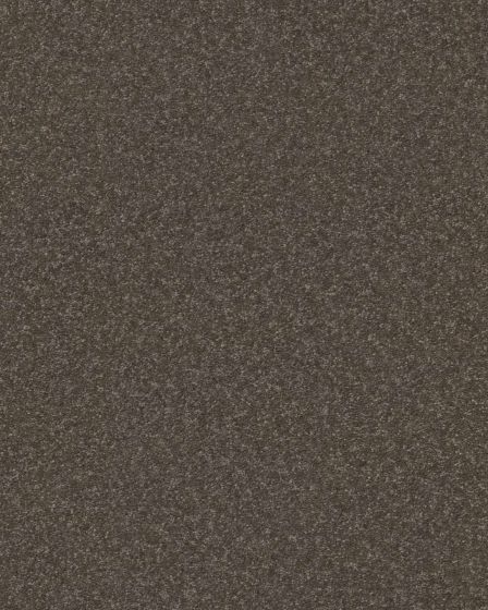 Hard At Play III Urban Rustic Carpet