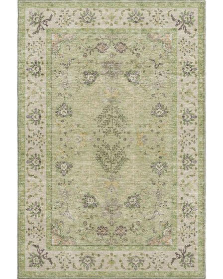 Hatay HY9 Aloe Area Rug