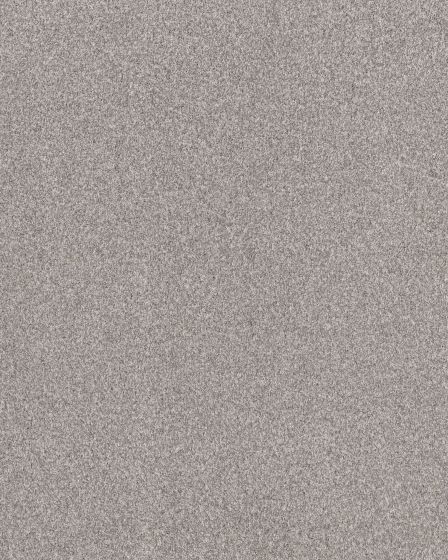 Anderson Tuftex Impressions Platinum | Carpet Exchange