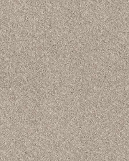 In Style Fossil Path Carpet