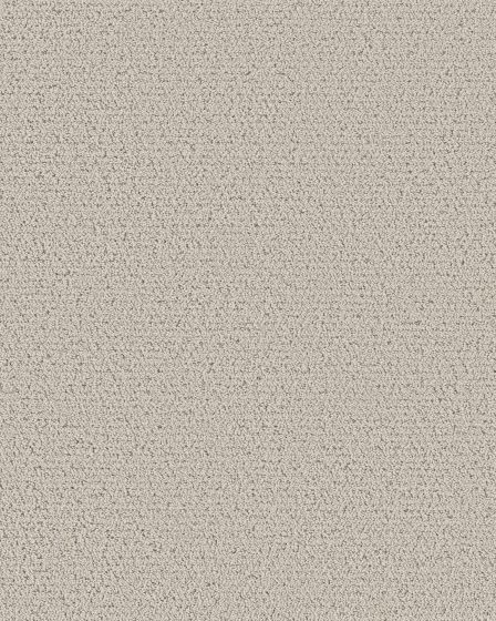 Intricate Trace Pet Friendly 43oz Carpet