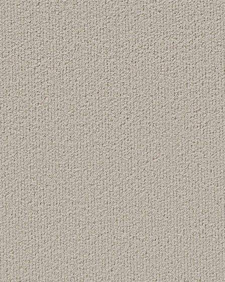 Shaw Pet Perfect Intricate Trace Natural | Carpet Exchange