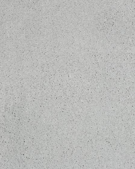 Impressive Character SmartStrand Triexta Carpet