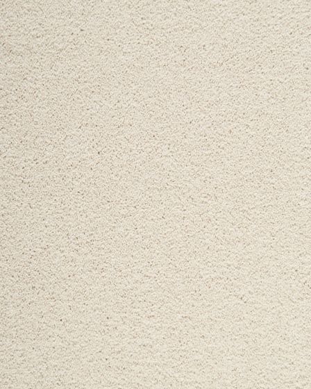 Delightful Intent SmartStrand 42oz Carpet