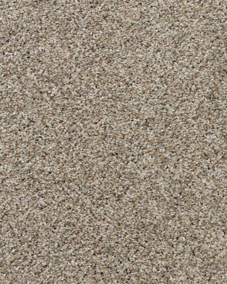 Instinctive Classic Ancient Ruins Textured 42oz SmartStrand Carpet