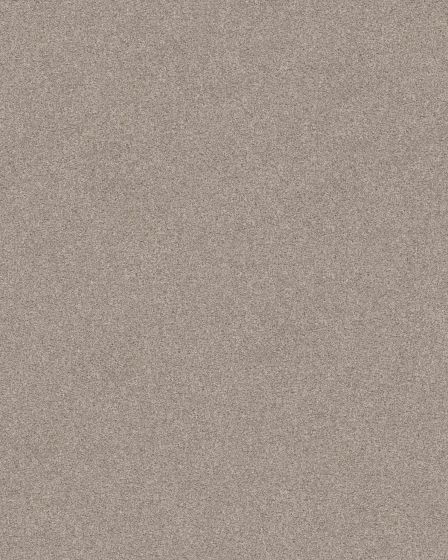 Keystone II Fossil Path Carpet