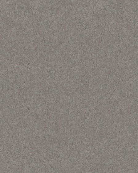 Shaw Keystone II Grey Fox | Carpet Exchange