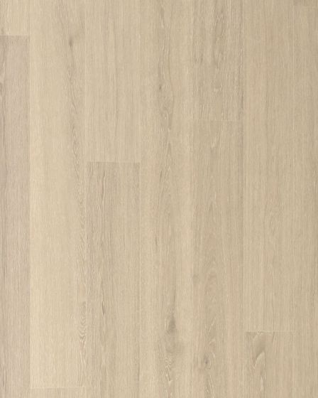 Andilet Morning Fog Oak BelleLuxe 8" Laminate