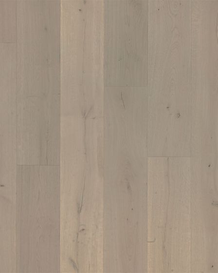 Belhancourt Welsh Slate Oak BelleLuxe 9" Laminate