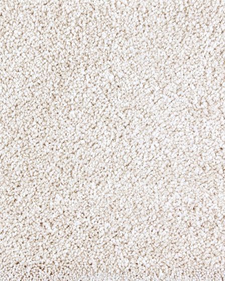 Lavish Approach Fine Silk Carpet