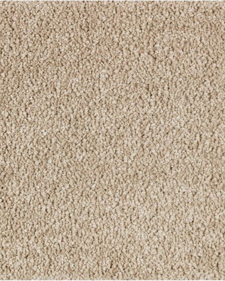 Lavish Touch Victorian Beige Carpet