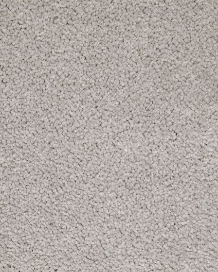 Mellow Retreat Classic Silver Carpet
